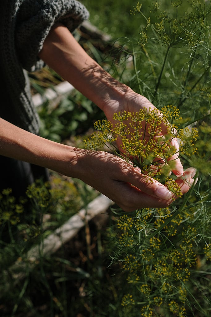 Gartenpflege Abo