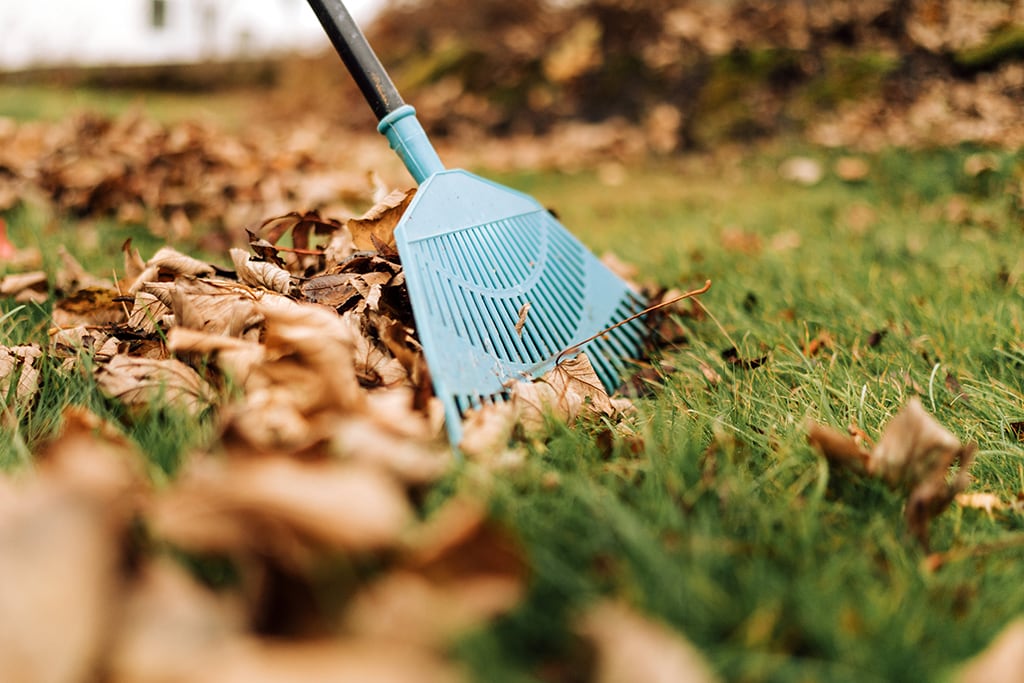 Rasen- und Gartenpflege